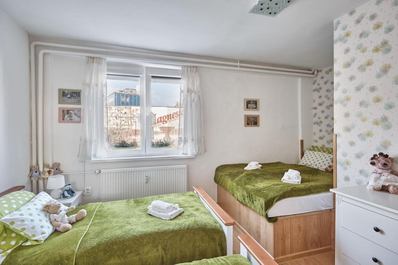 Apartment U Medvidka 卡罗维发利 外观 照片